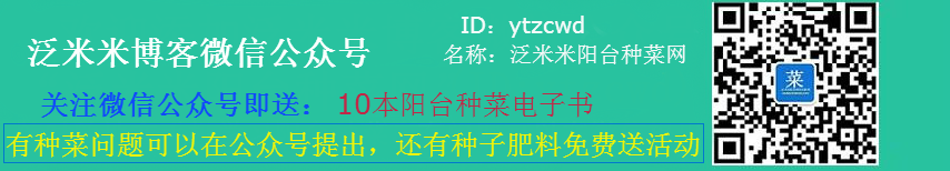 泛米米博客微信公众号（ID：ytzcwd）