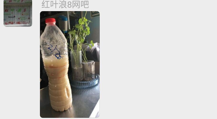用打豆浆剩下的豆渣自制有机肥.jpg