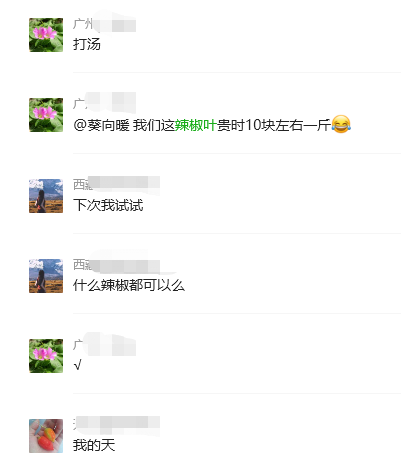 辣椒叶.png